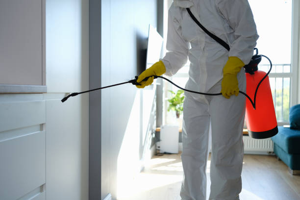Best Residential Mold Remediation in Benton Harbor, MI