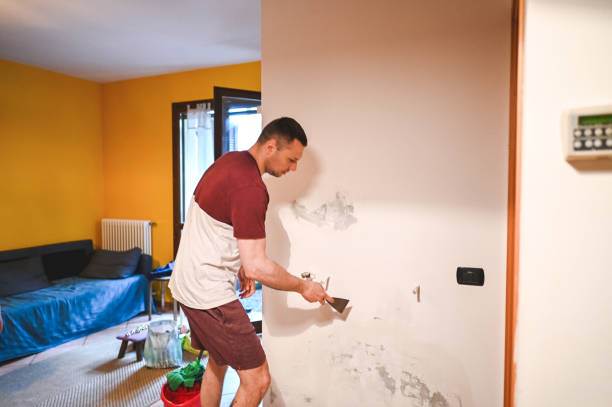 Best Mold Testing and Inspection Services in Benton Harbor, MI
